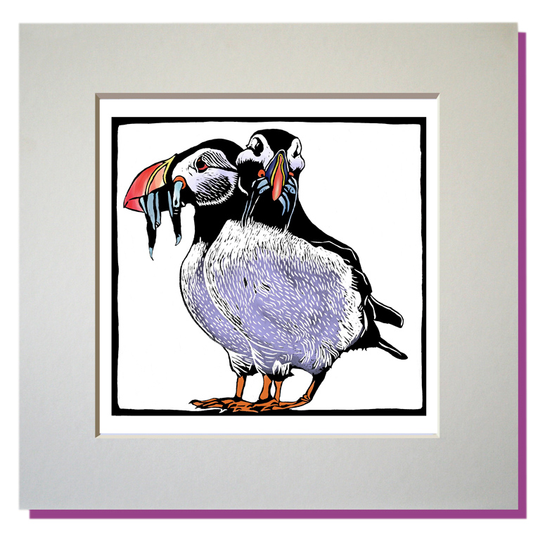 puffins small mountedprint